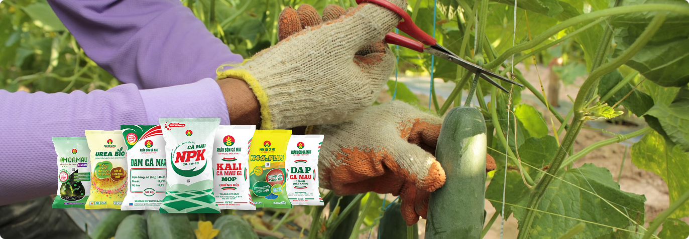 Phân bón hữu cơ