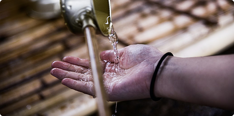 Ứng dụng công nghệ sinh học trong nông nghiệp xanh và phát triển bền vững